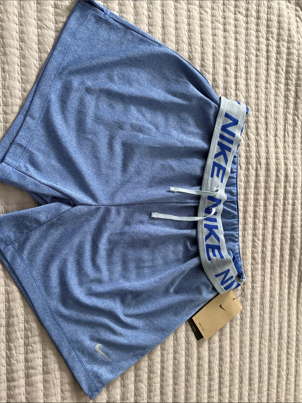 Nike Light Blue Athletic Shorts with Branded Elastic Waistband